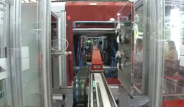 In-Mold Labeling